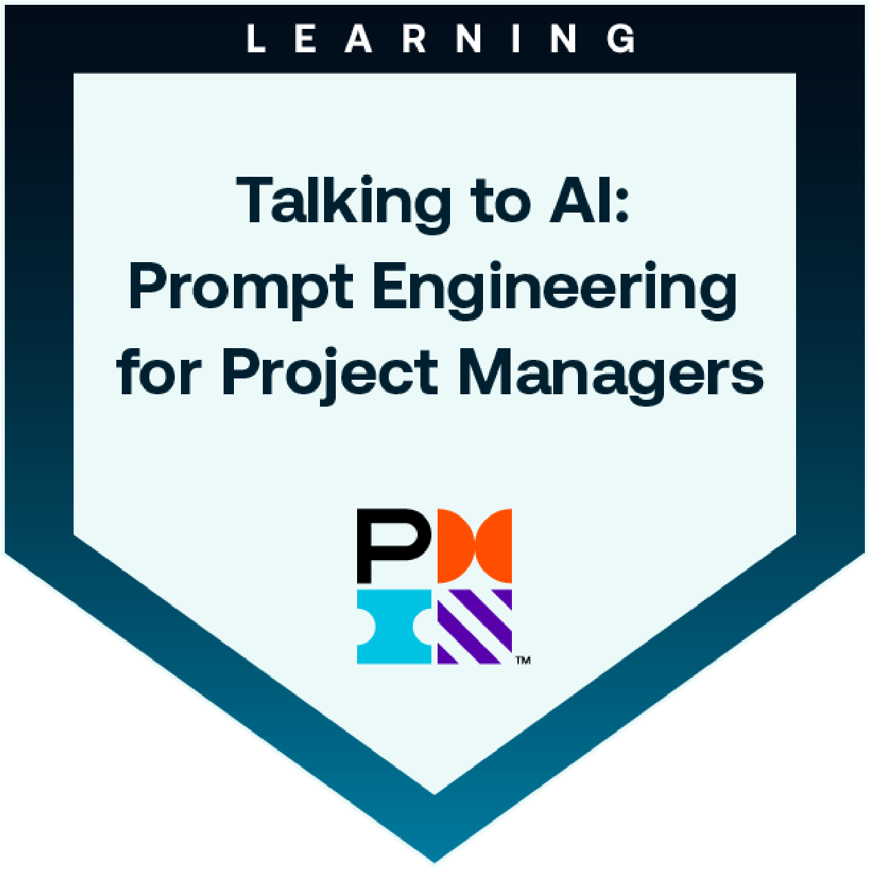 PMI Talking to AI